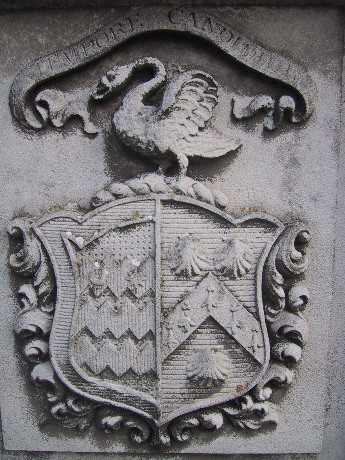 Coat of Arms